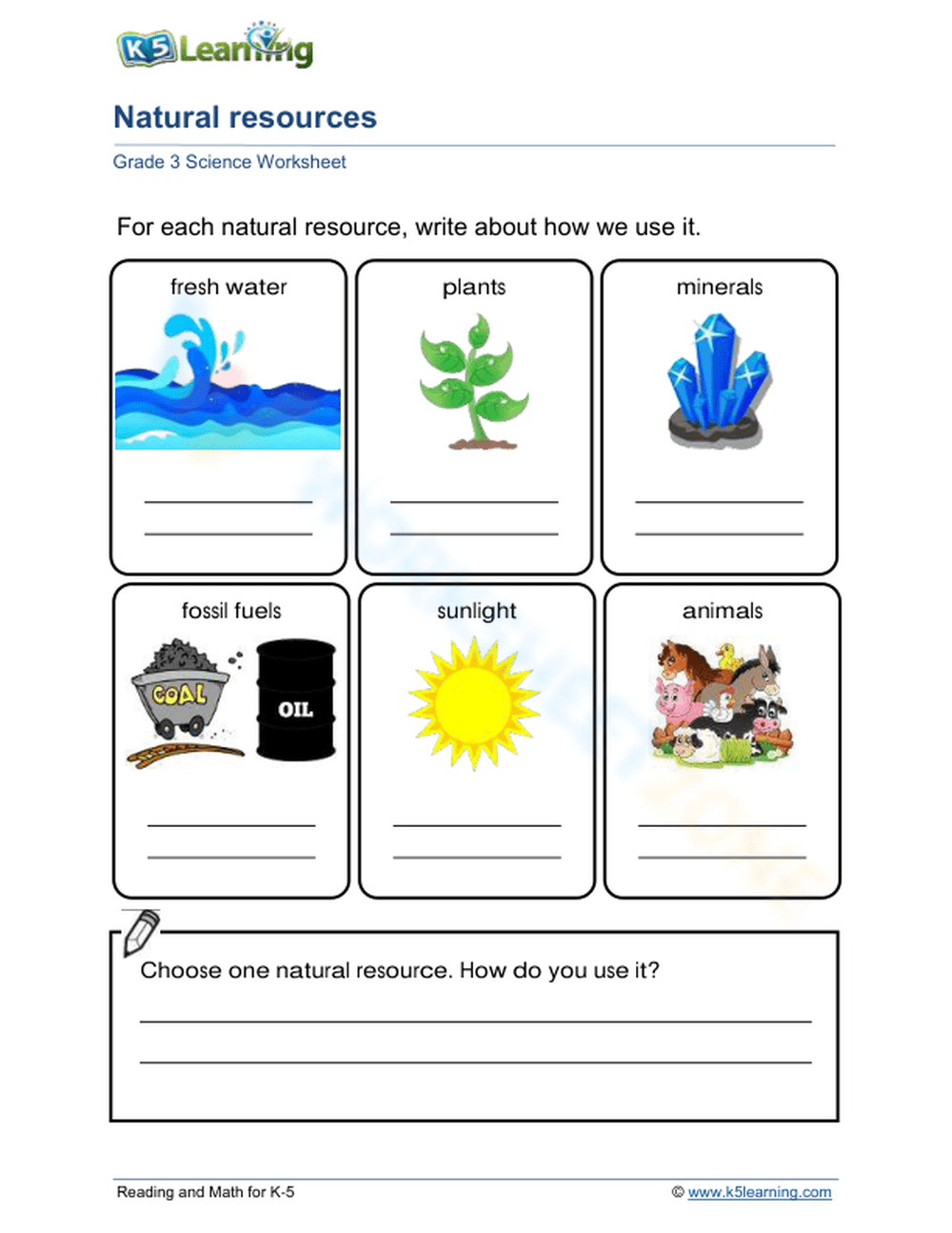 Free Custom Printable Science Worksheet Templates Canva