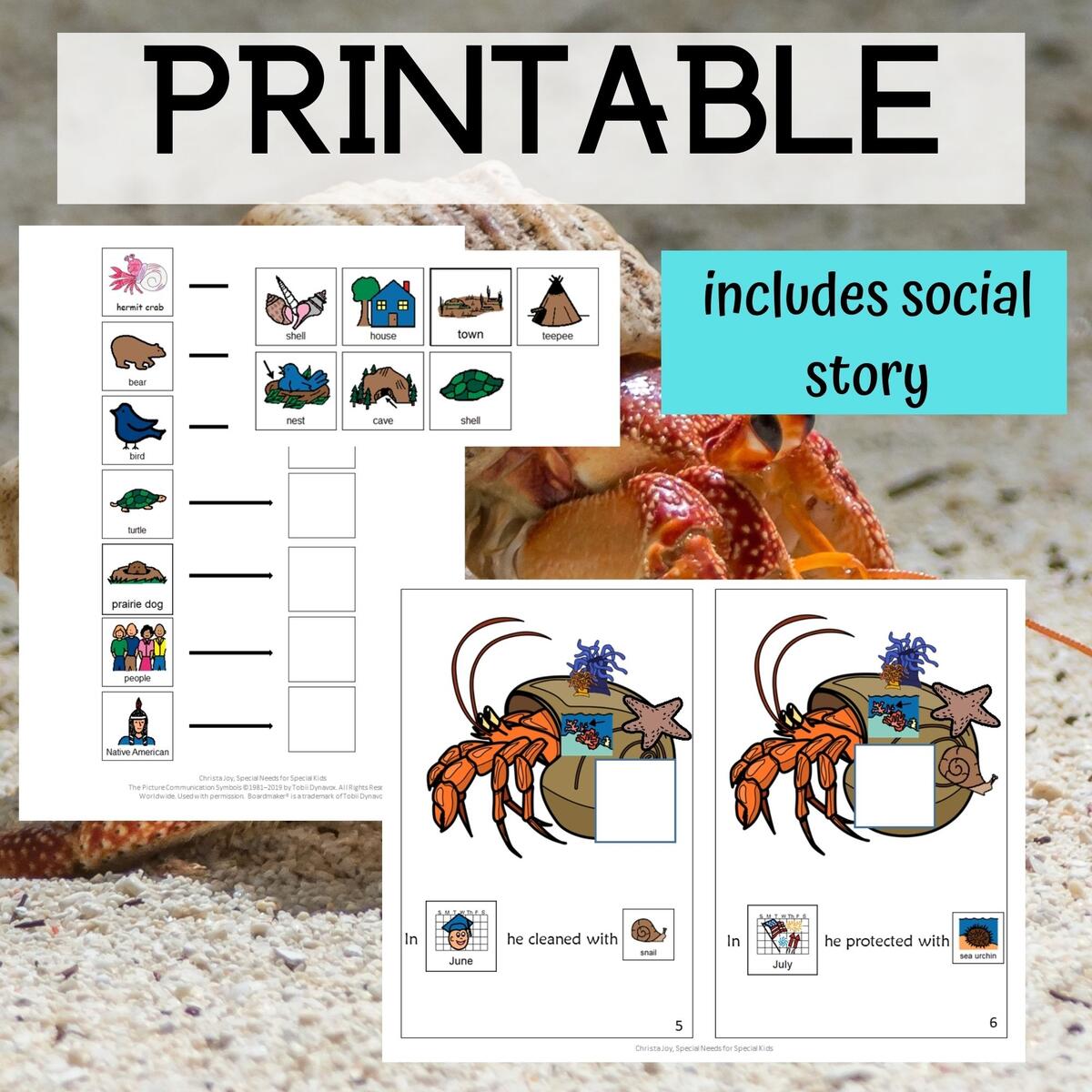 A House For Hermit Crab For Special Education PRINT AND DIGITAL Special Needs For Special Kids A House For Hermit Crab For Special Education PRINT AND DIGITAL Special Needs For Special Kids