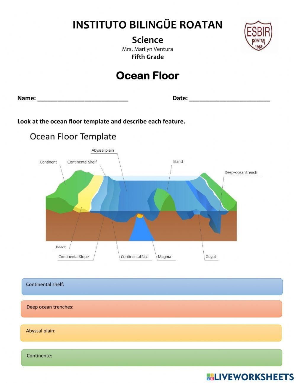 Biosciences Our Oceans And Seas Worksheets Library Biosciences Our Oceans And Seas Worksheets Library
