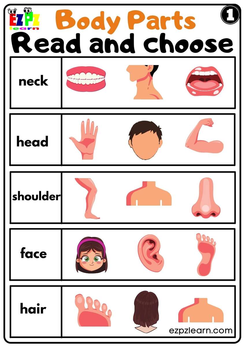 Parts Of The Body Free Worksheet SKOOLGO