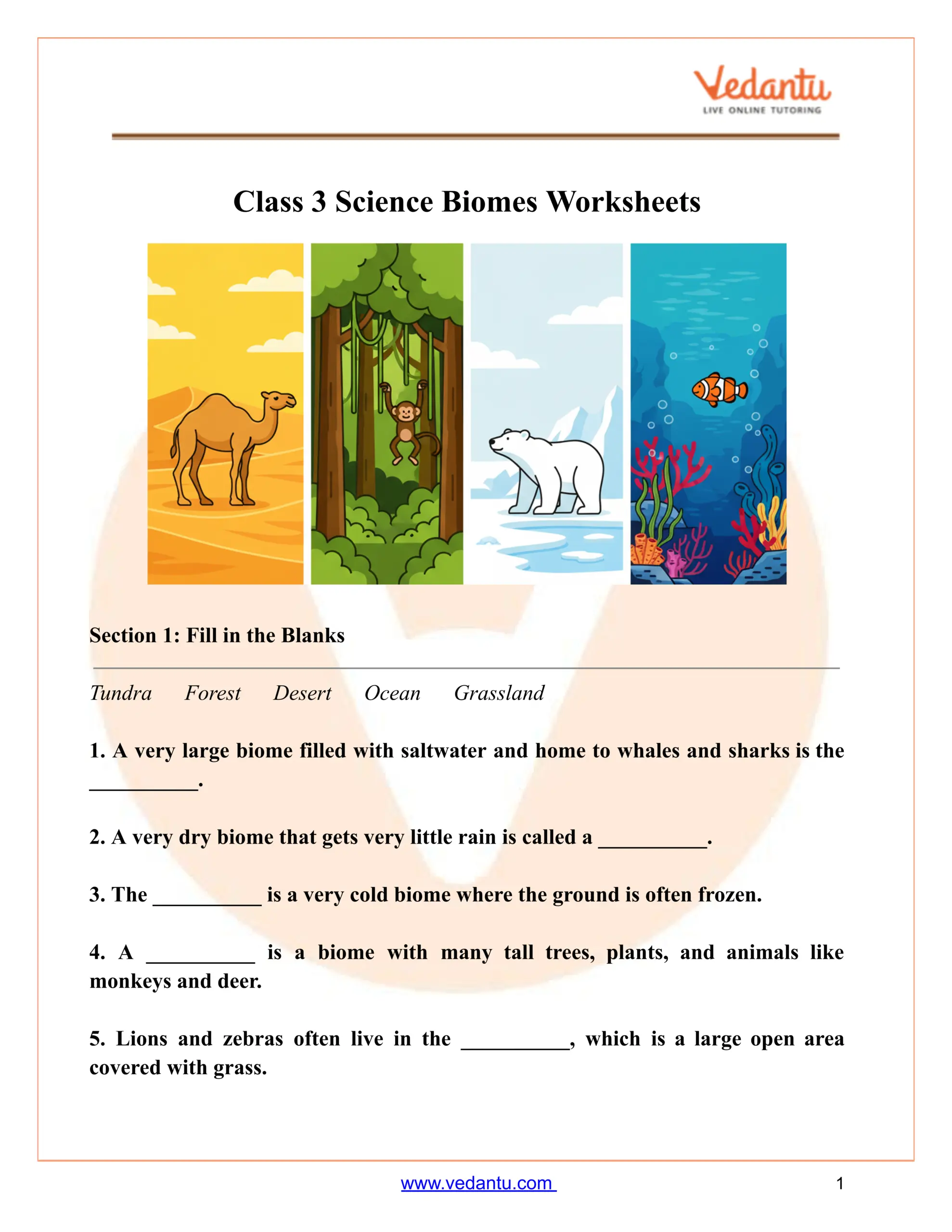 Life Cycles Worksheets Workybooks