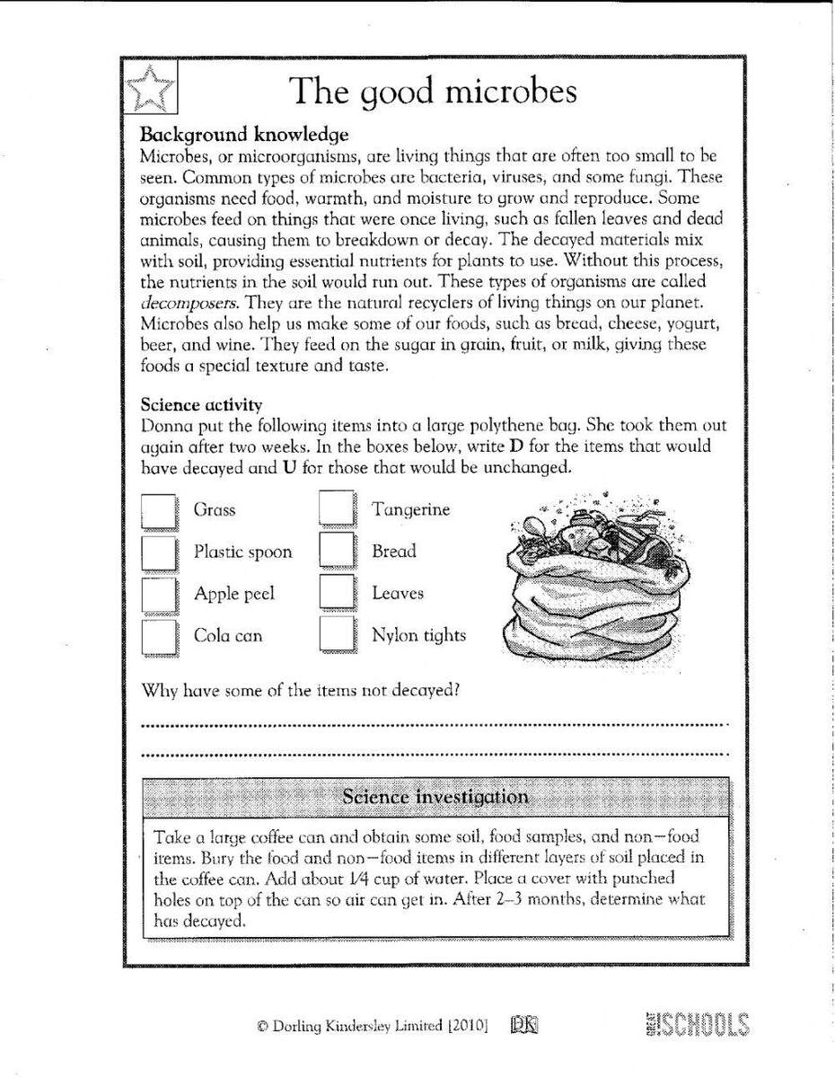 Dorling Kindersley Limited 2010 Worksheet