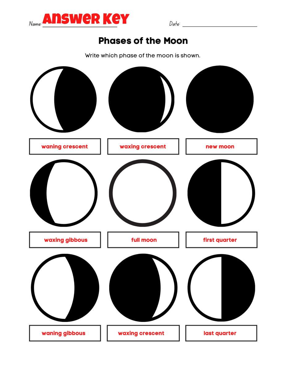 Moon Phases Free Worksheet SKOOLGO