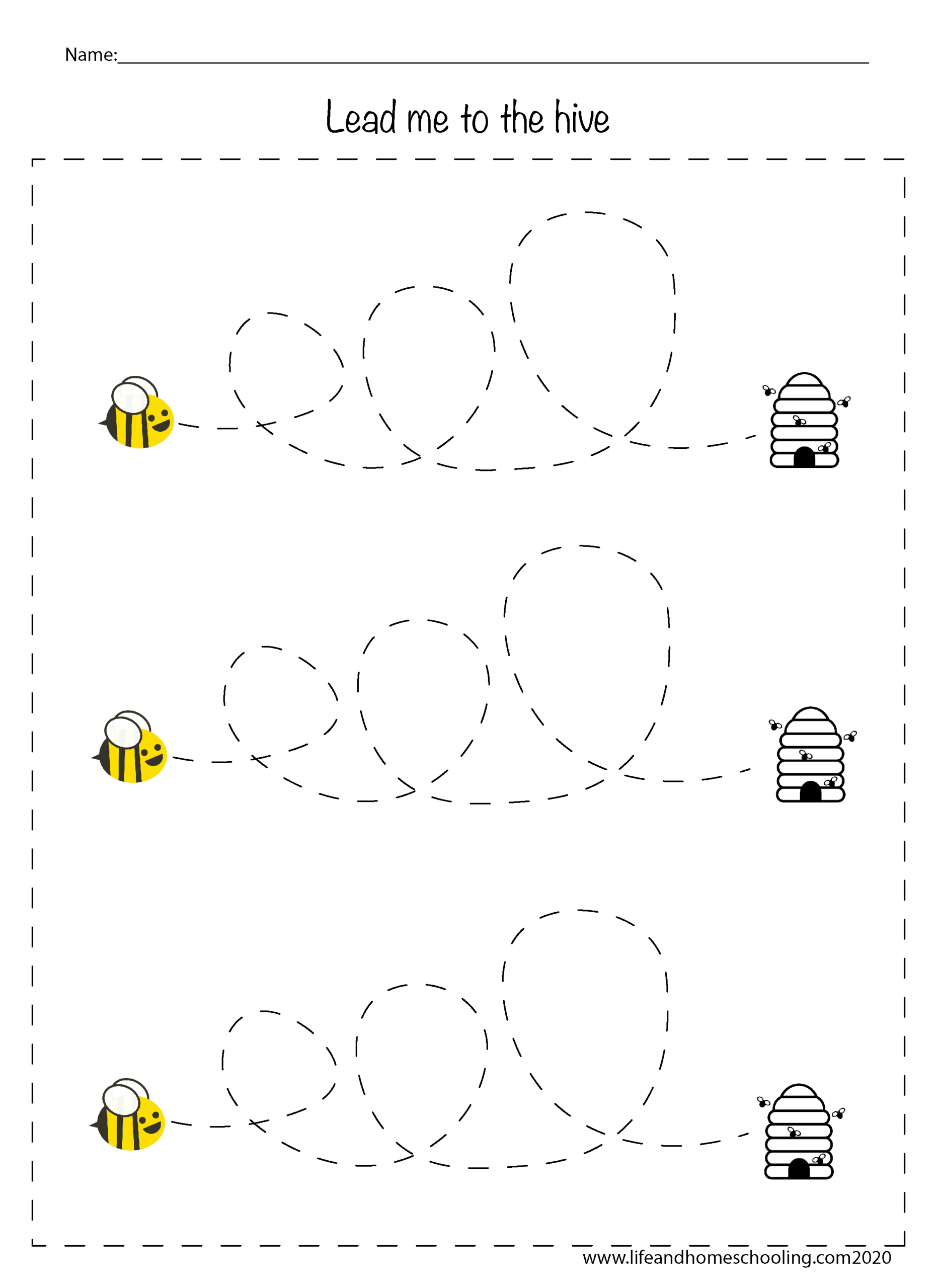 Fine Motor Skills Scissor Skills Worksheets For Kids