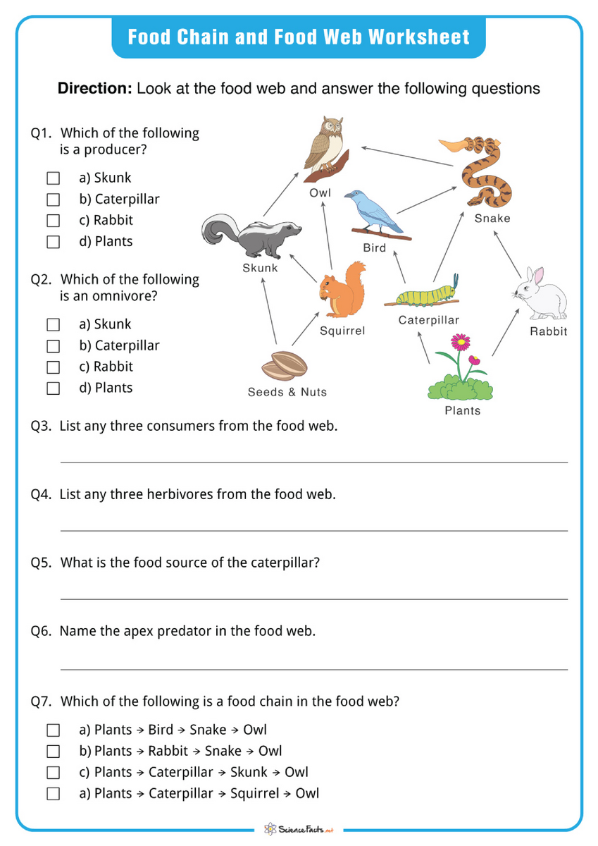 Forest Food Web Practice Worksheet Food Web Worksheet Food Web Worksheets Library Forest Food Web Practice Worksheet Food Web Worksheet Food Web Worksheets Library