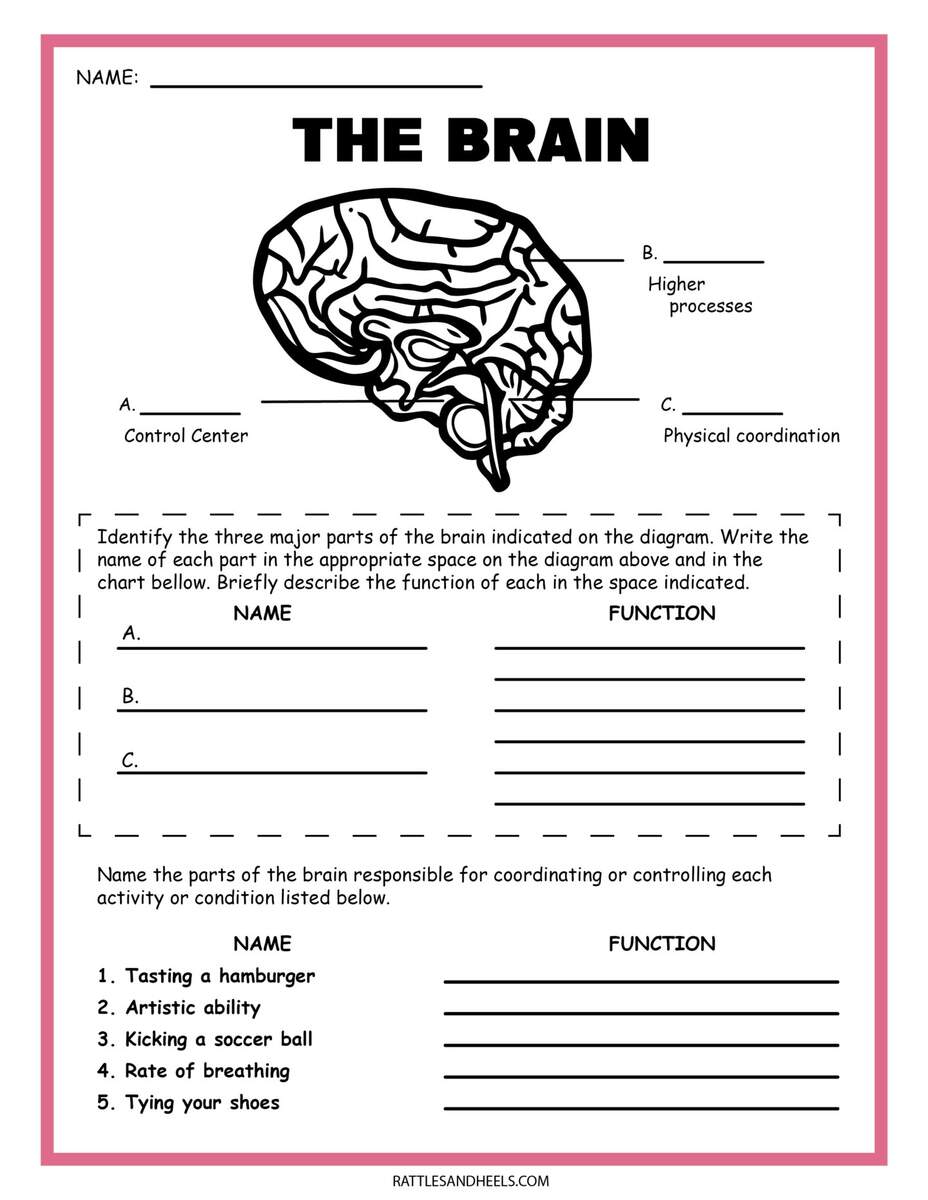 Engaging 6th Grade Science Worksheets For Interactive Learning