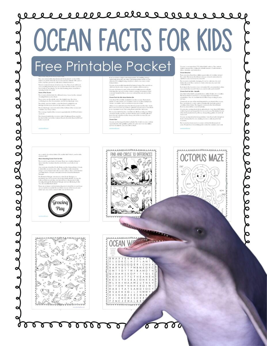 Fun Ocean Facts For Kids Growing Play Fun Ocean Facts For Kids Growing Play