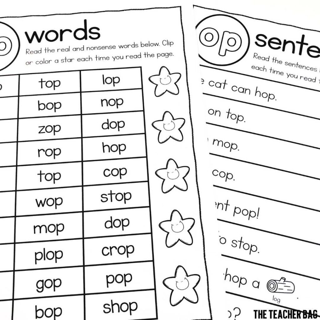 Fun Word Family Activities The Teacher Bag
