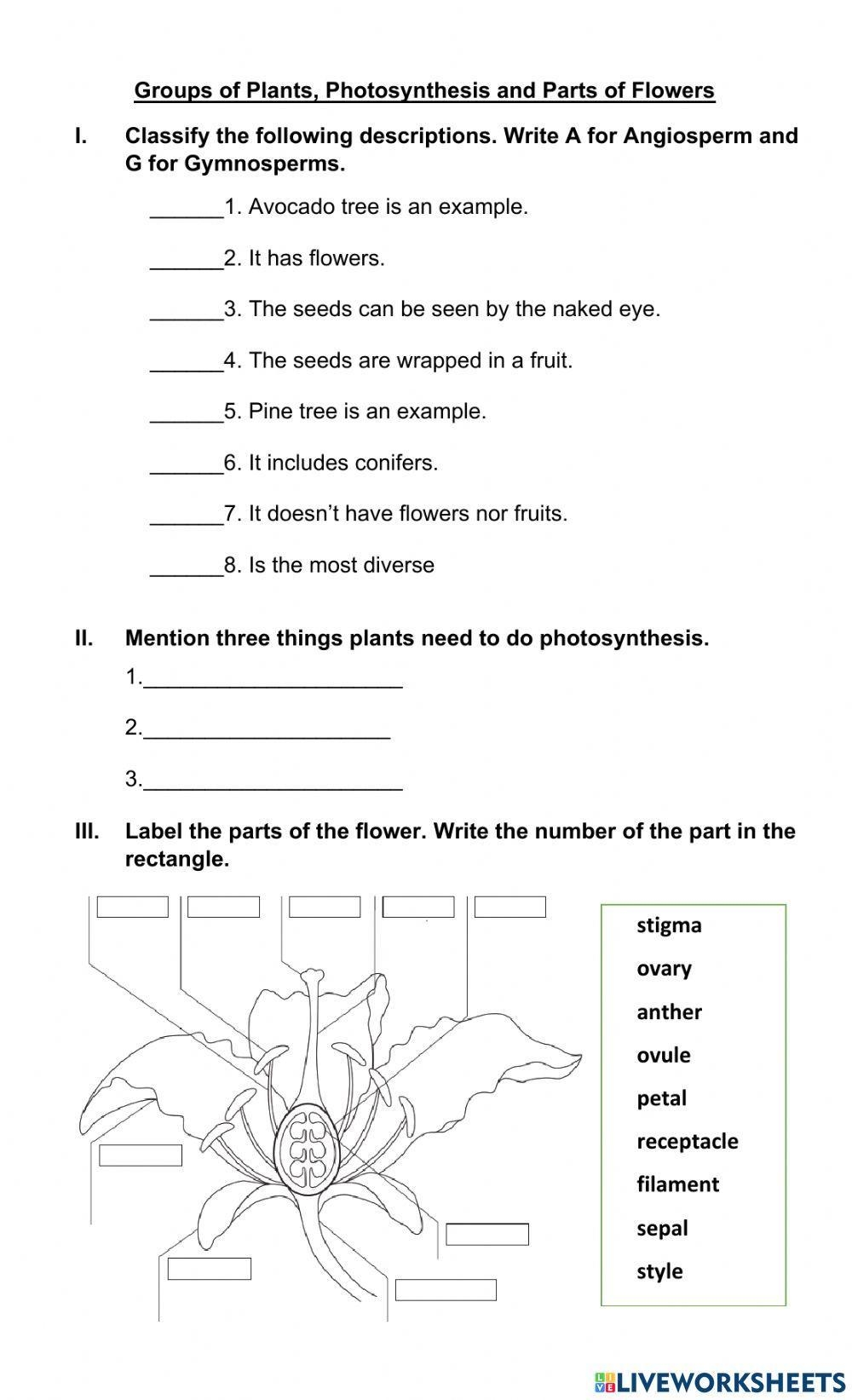 Gymnosperm Angiosperms Photosynthesis And Parts Of The Flower Worksheets Library Angiosperms And Gymnosperms Worksheet Worksheets Library