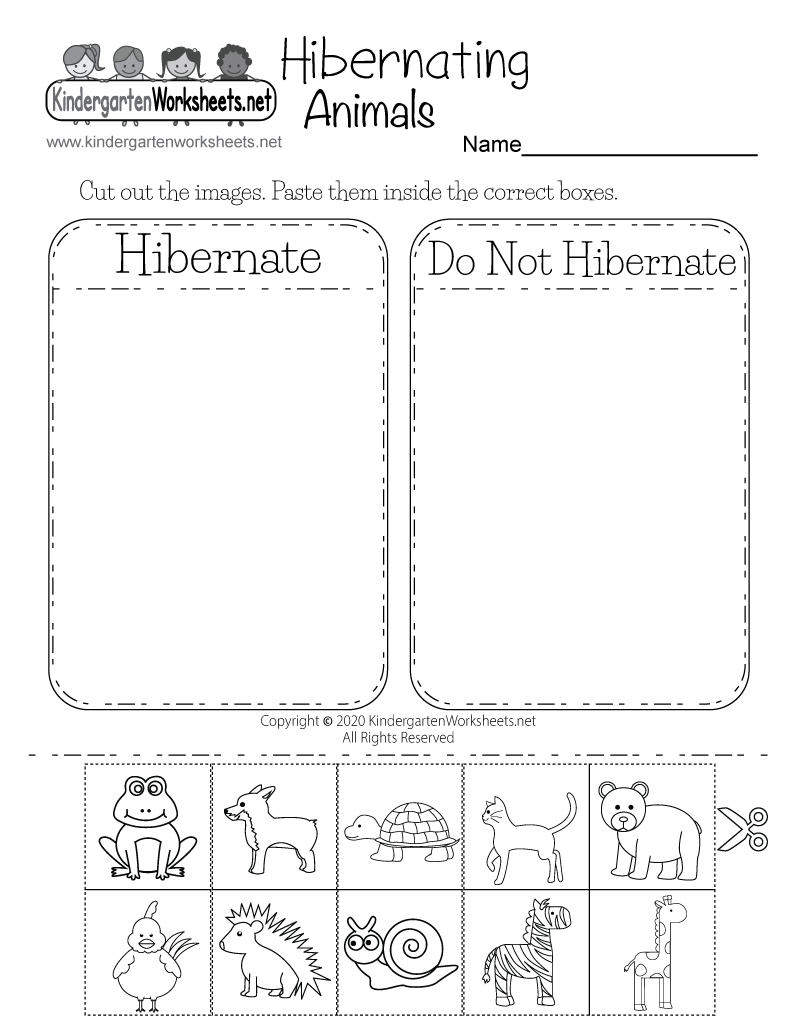 Hibernating Animals Worksheet Free Printable Digital PDF Discover 28 Hibernation And Winter Preschool Ideas Winter Kindergarten Hibernation Preschool Animals That Hibernate And More