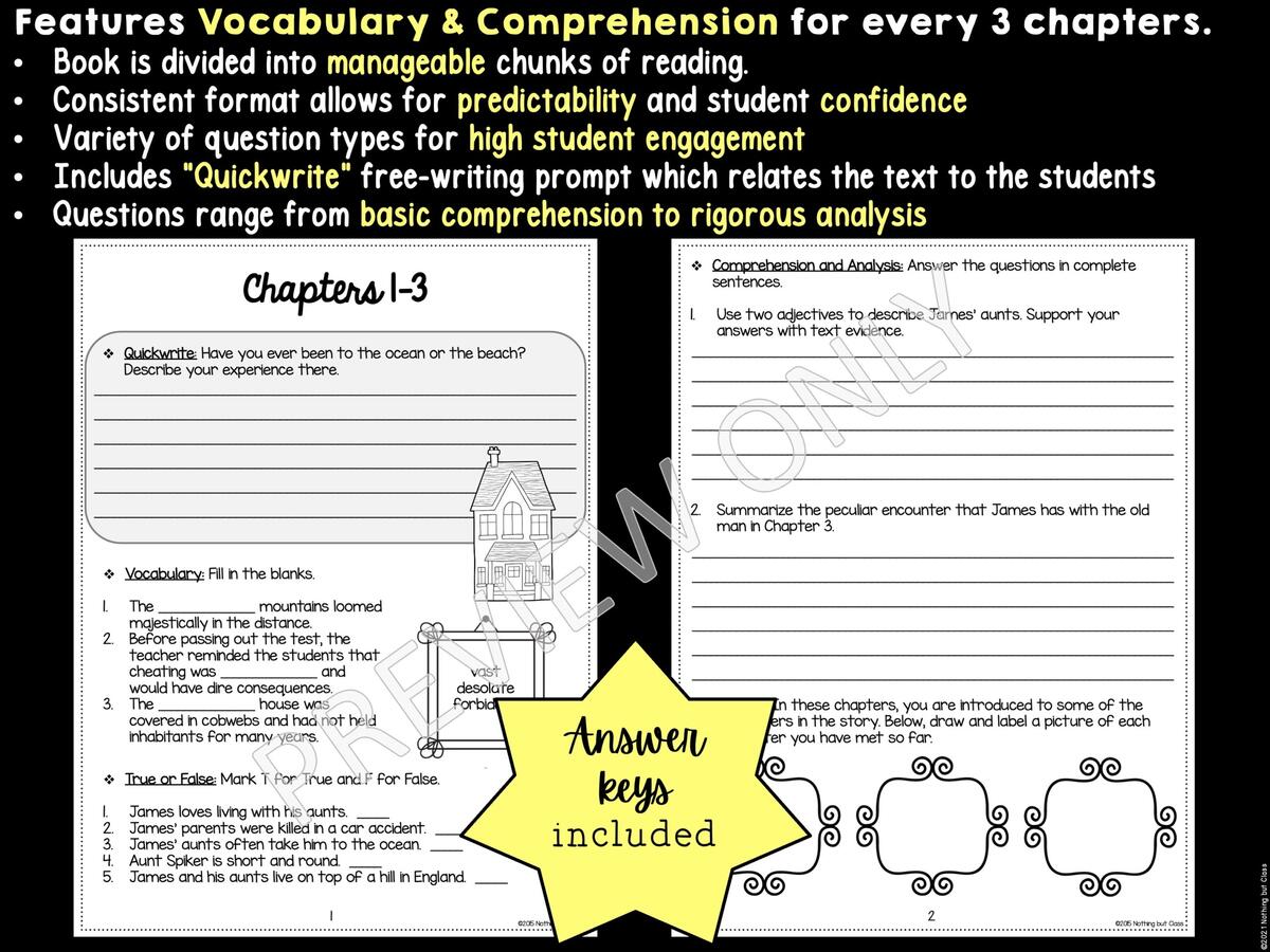 James And The Giant Peach Novel Study Comprehension And Vocabulary With Activities And Tests Made By Teachers