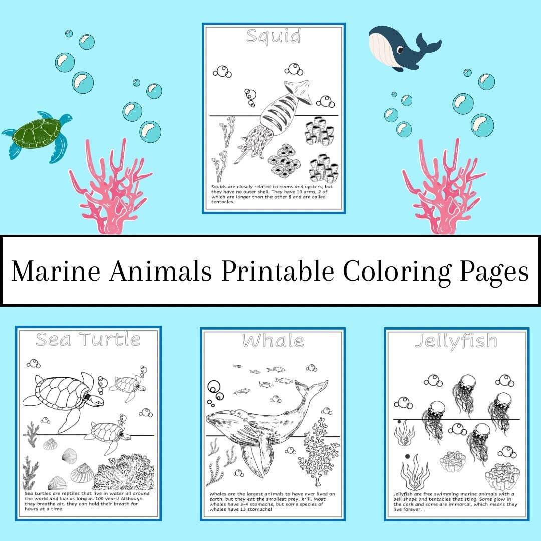 Back To School Color By Number Worksheets Free Printable Simply Full Of Delight