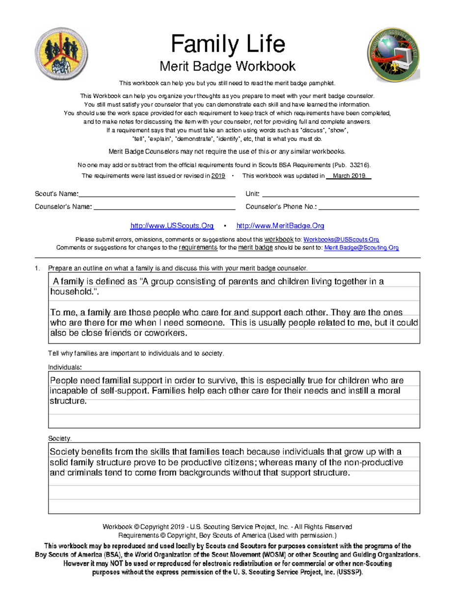 Merit Badge Personal Fill Out Printable PDF Forms Online Worksheets Library