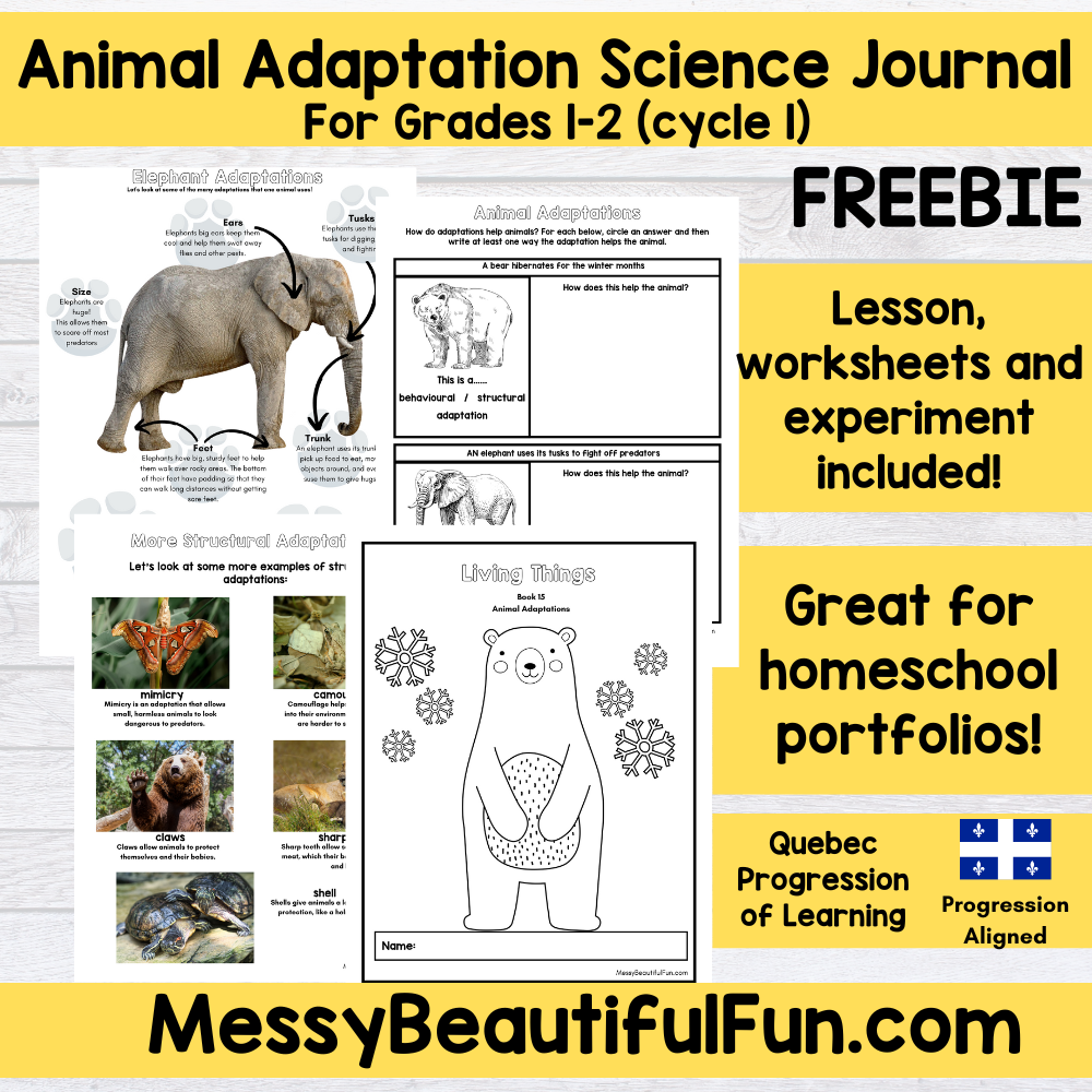 Messy Beautiful Fun Animal Adaptations Science Free Journal Unit