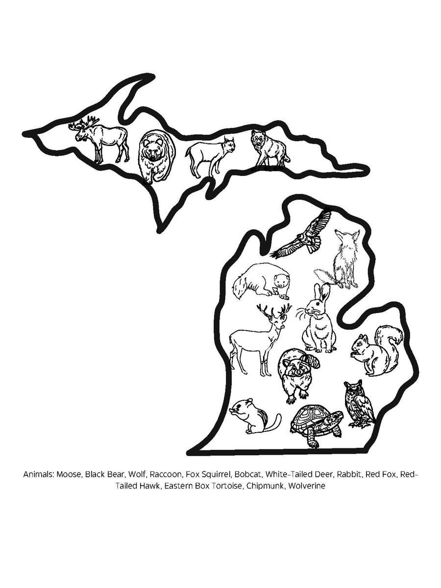 Michigan Map Coloring Page With Animals Explore Wildlife TPT Michigan Activity Pack State Symbols Trivia Word Search PDF Etsy