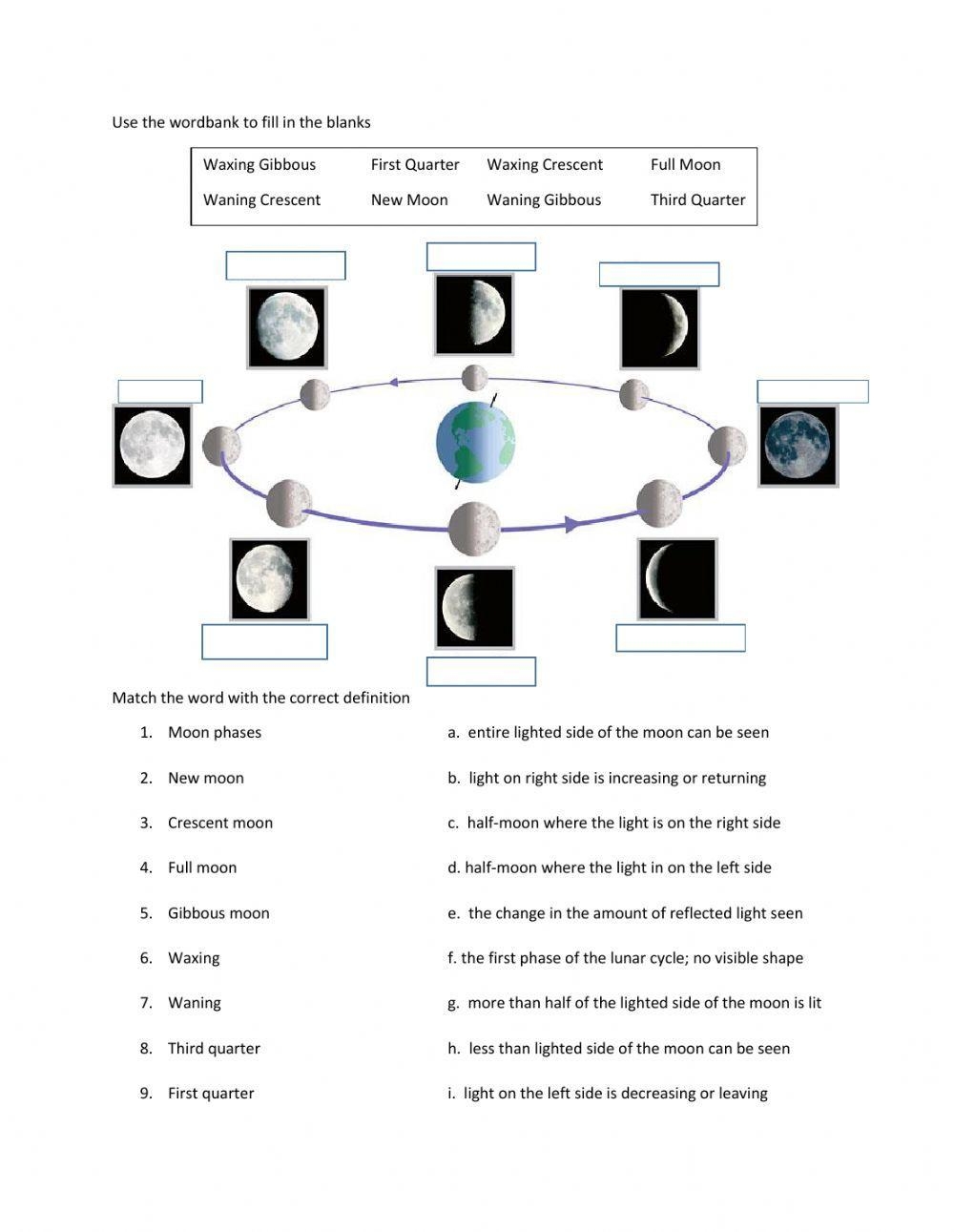 Moon Phases Online Exercise Worksheets Library 4 Phases Of The Moon Worksheets And Activities Students Love