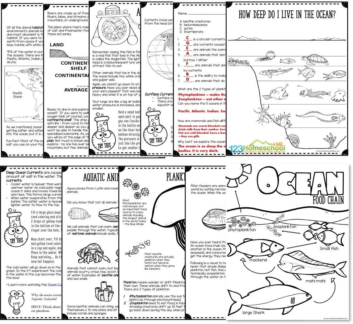 Ocean Animals UNIT 123 Homeschool 4 Me Ocean Animals UNIT 123 Homeschool 4 Me