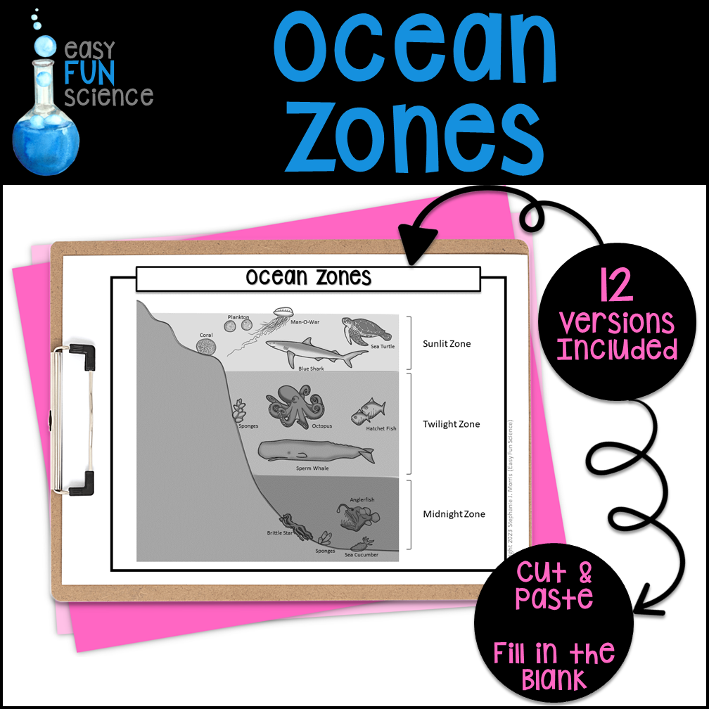 Ocean Zones Diagram Made By Teachers