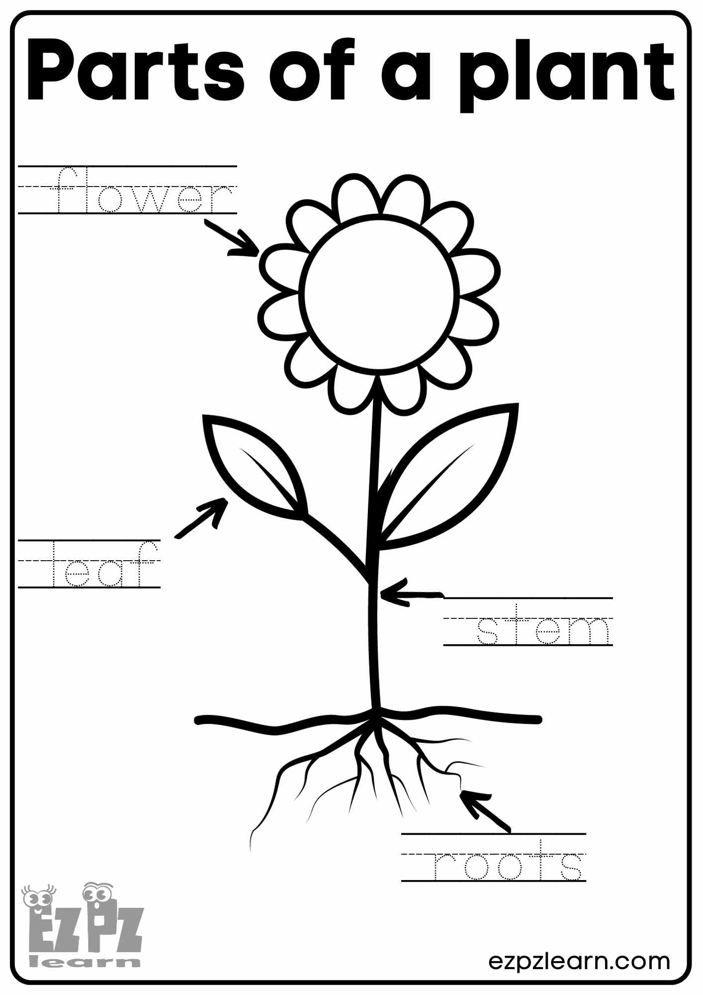 Parts Of A Plant Vocabulary Worksheet Write The Words And Color The Flower Activity For Kindergarten K5 And ESL Students Free Printable PDF Download Ezpzlearn Plant Life Cycle Worksheets Free Printables For Kids Adanna Dill