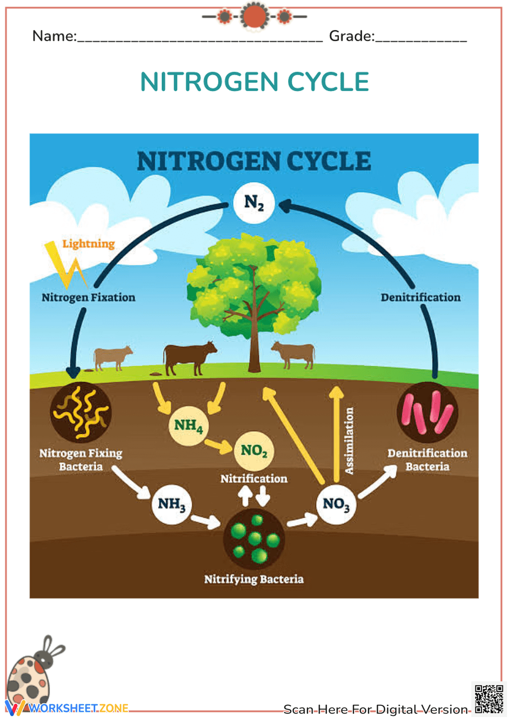 Printable Biogeochemical Cycles Worksheets Printable Biogeochemical Cycles Worksheets