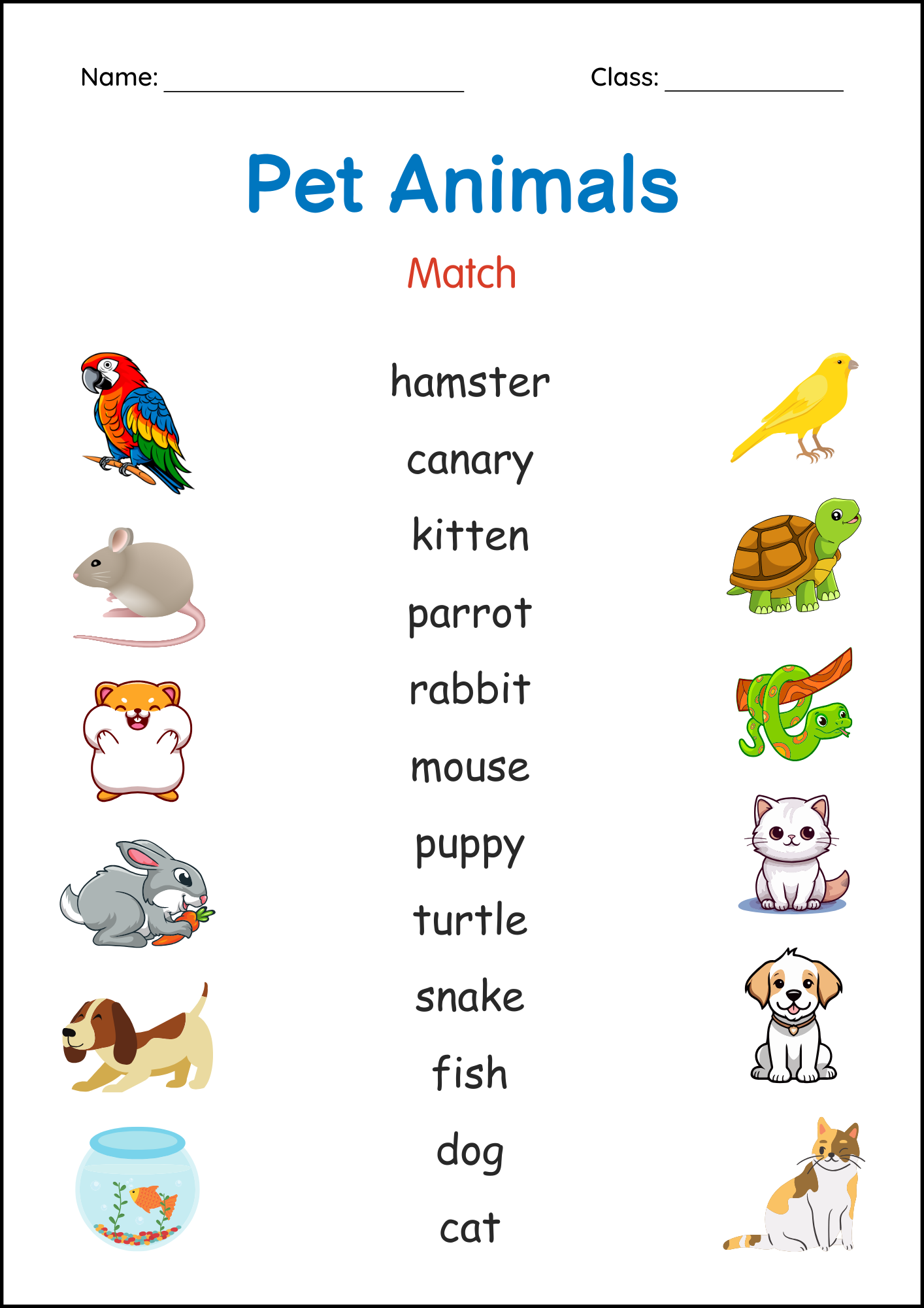 Printable Pets Animals Activity Worksheets For Grade 1 2 3 Teaching Resources Printable Pets Animals Activity Worksheets For Grade 1 2 3 Teaching Resources