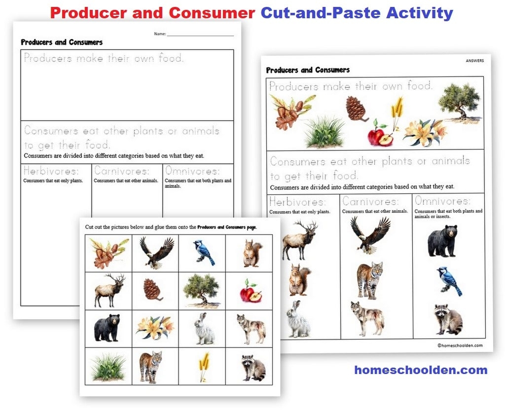 Producer Consumer Decomposer Packet Homeschool Den Producer Consumer Decomposer Packet Homeschool Den