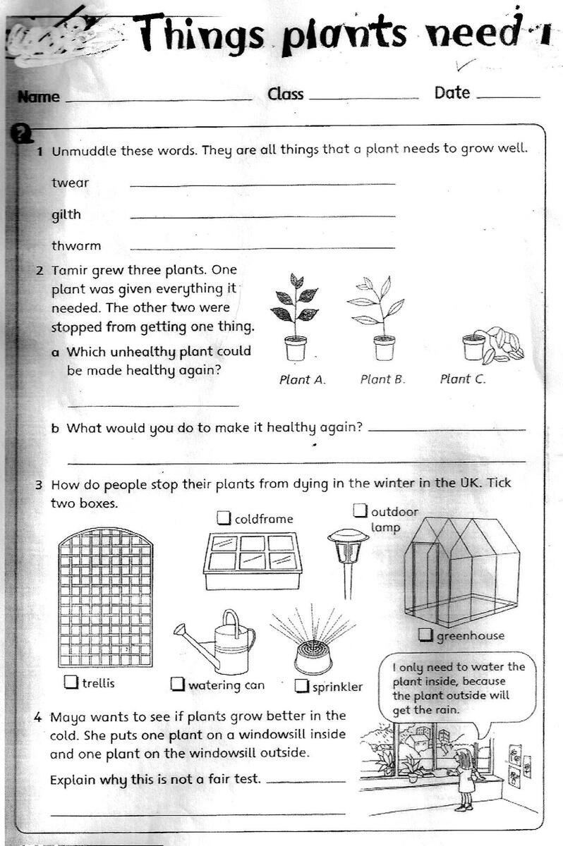 Science Grade 3 Curriculum Science Grade 3 Free Interactive Worksheets 2420357 Worksheets Pdf