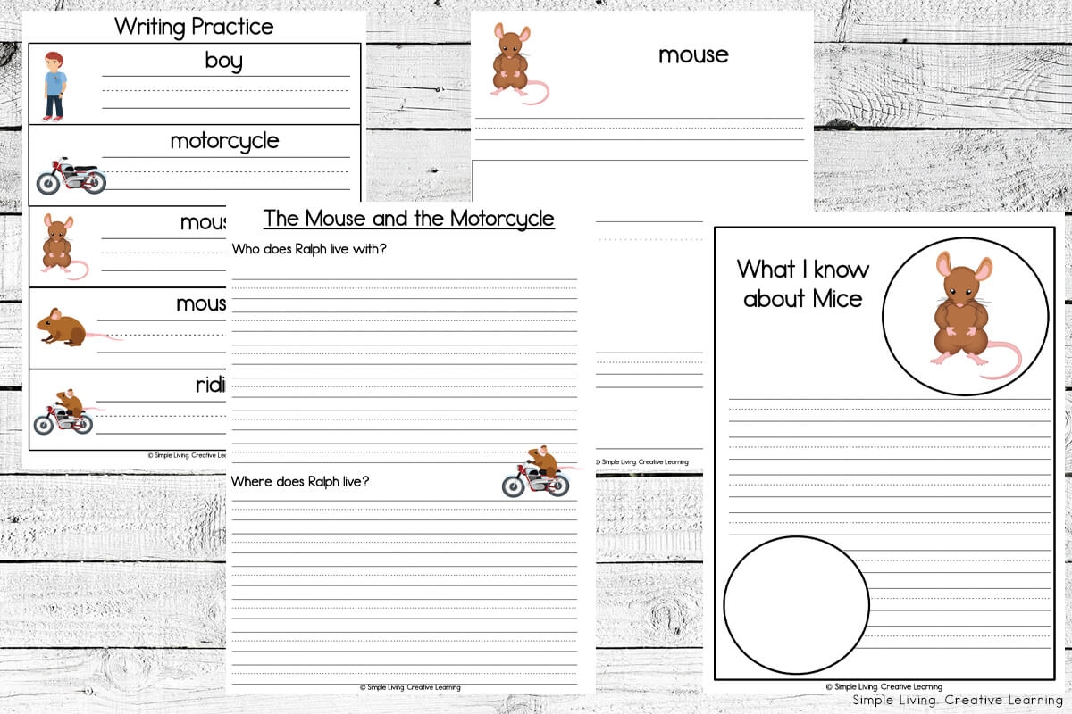 The Mouse And The Motorcycle Grades 3 To 4 EBook Lesson Plan Worksheets Library