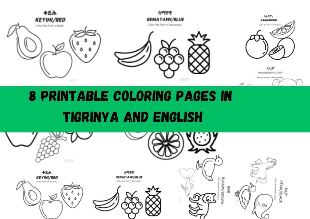 Tigrinya Books Etsy Tigrinya Books Etsy