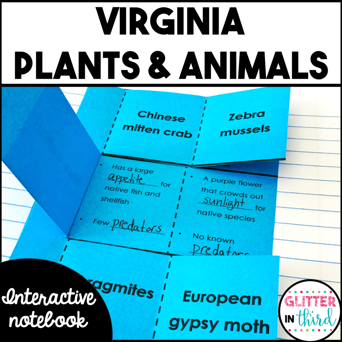 Virginia S Natural Resources On Plants Animals Interactive Notebook SOL 4 8 Glitter In Third Virginia S Natural Resources On Plants Animals Interactive Notebook SOL 4 8 Glitter In Third