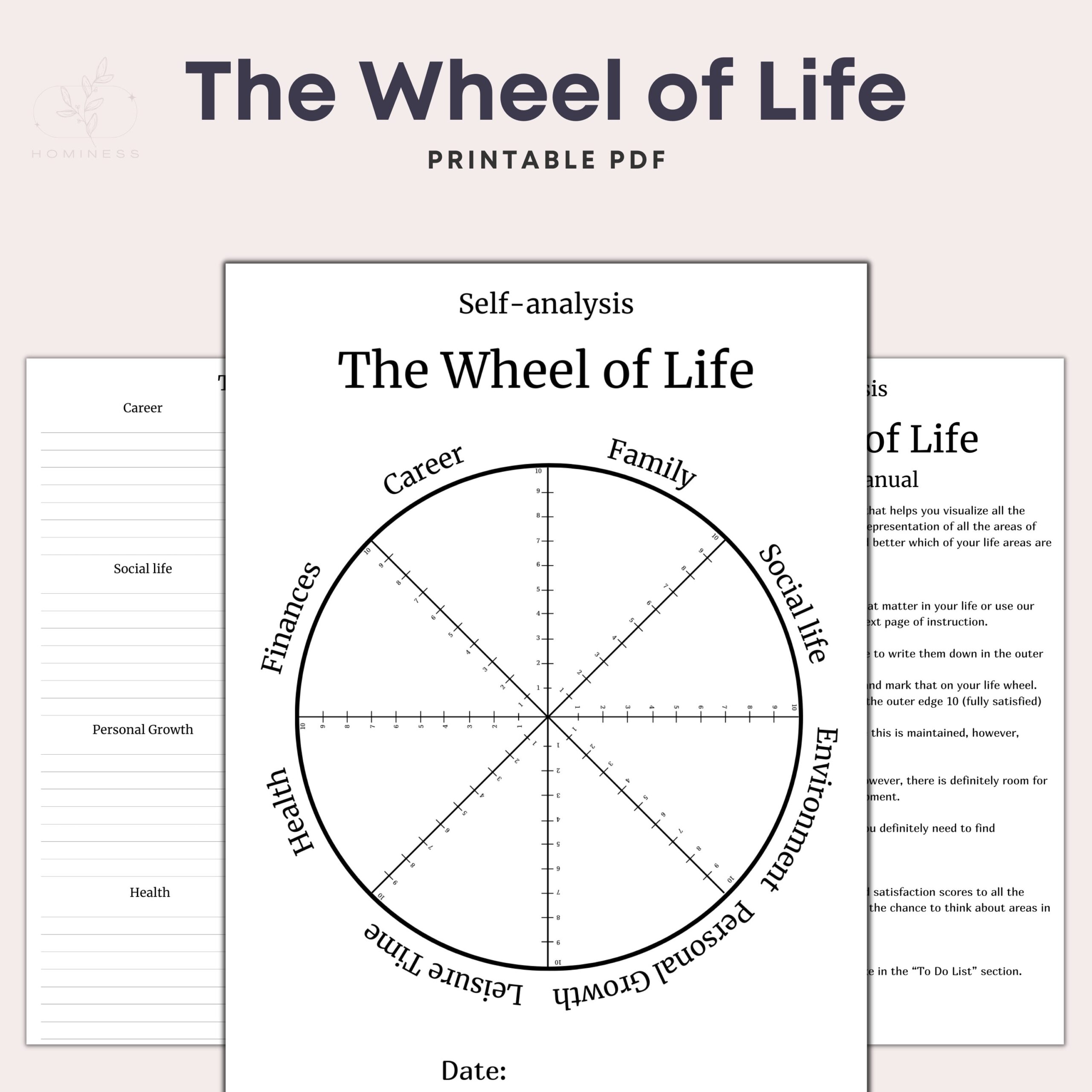 Wheel Of Life Printable Template Wheel Of Balance Coaching Worksheet Life Balance Wheel Printable PDF Life Goals Digital Download Etsy New Zealand