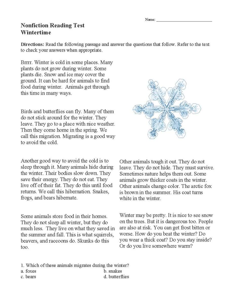 Winter Reading Comprehension Passages 2nd Grade Activities Worksheets Made By Teachers